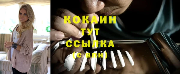 гидропоника Елабуга