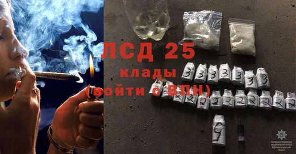 гидропоника Елабуга
