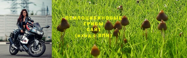 гидропоника Елабуга