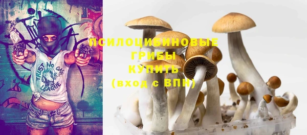 гидропоника Елабуга