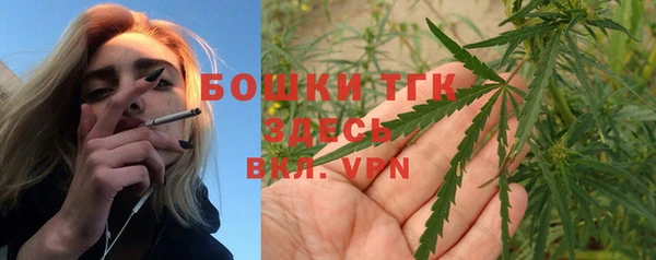 гидропоника Елабуга