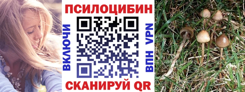 Купить где  Шали  Галлюциногенные грибы MAGIC MUSHROOMS 